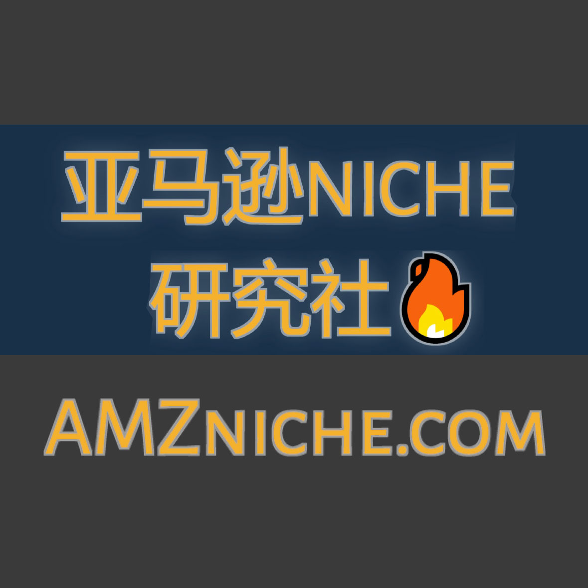 亚马逊Niche研究社🔥AMZniche.com