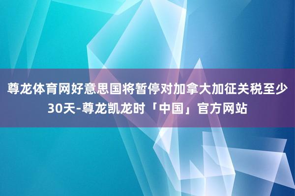 尊龙体育网好意思国将暂停对加拿大加征关税至少30天-尊龙凯龙时「中国」官方网站