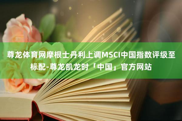 尊龙体育网摩根士丹利上调MSCI中国指数评级至标配-尊龙凯龙时「中国」官方网站