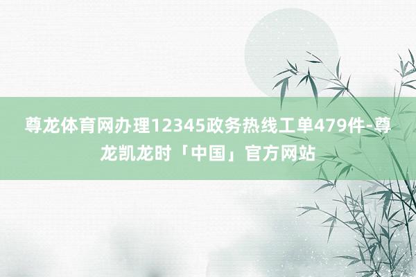 尊龙体育网办理12345政务热线工单479件-尊龙凯龙时「中国」官方网站