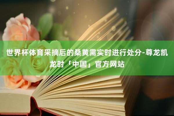 世界杯体育采摘后的桑黄需实时进行处分-尊龙凯龙时「中国」官方网站