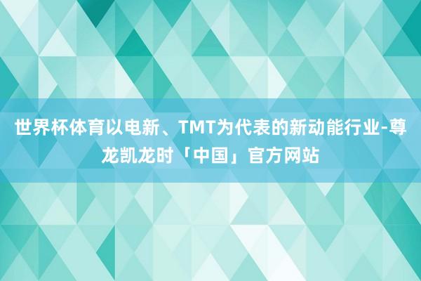 世界杯体育以电新、TMT为代表的新动能行业-尊龙凯龙时「中国」官方网站
