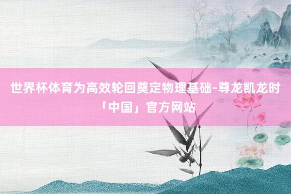 世界杯体育为高效轮回奠定物理基础-尊龙凯龙时「中国」官方网站