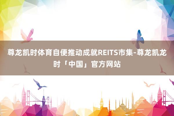 尊龙凯时体育自便推动成就REITS市集-尊龙凯龙时「中国」官方网站