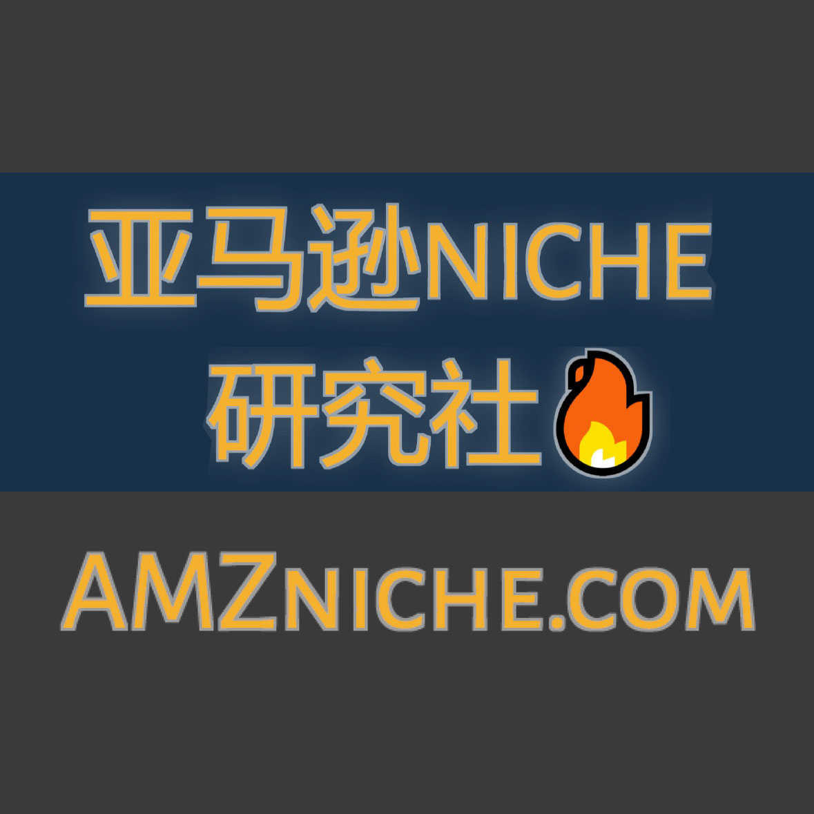 亚马逊Niche研究社?AMZniche.com